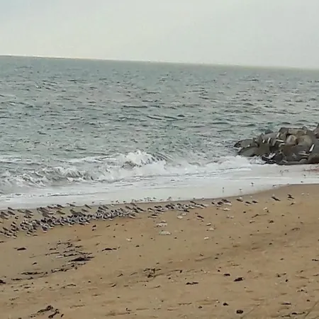 Ma Chaumiere La Cotinière