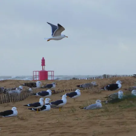 Ma Chaumiere Prázdninový dům *